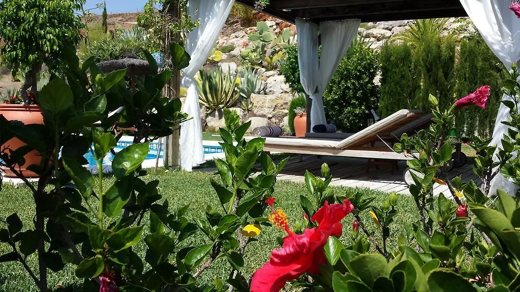Bed & Breakfast | Guest House Casa Don Carlos Alhaurín el Grande