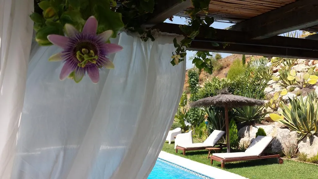 Bed & Breakfast | Guest House Casa Don Carlos Alhaurín el Grande