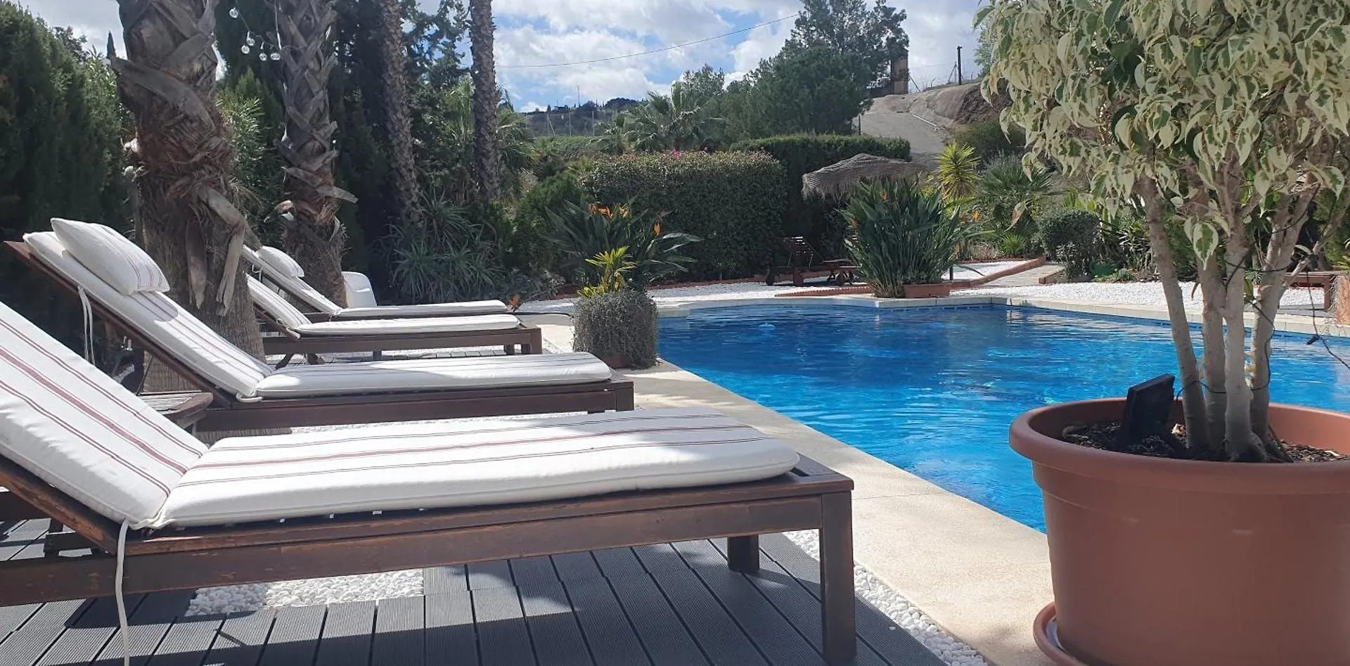 Bed & Breakfast | Guest House Casa Don Carlos Alhaurín el Grande